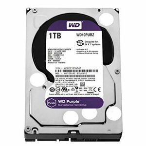 Western Digital Purple | 1000GB (1TB) 3.5" HDD | SATA III | 5400 rpm | Voor Surveillance