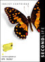 SecondLife - Epson 502 XL Yellow