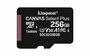 Kingston Technology Canvas Select Plus 256 GB MicroSDXC UHS-I Klasse 10_