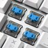 Sharkoon PureWriter TKL RGB Blue toetsenbord USB QWERTY Amerikaans Engels Wit_