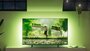 Philips 65PUS8319/12 65" | 4K Ultra HD Ambilight Smart TV | Titan OS + Wifi | Dolby Vision | 60Hz_