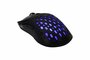 Baracuda OCTOPUS RGB | Bekabelde Gaming Muis | Rechtshandig | USB-A | 3600 DPI | Zwart_