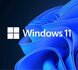 Microsoft Windows 11 Professional 64bits OEM NL / multi language_