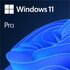Microsoft Windows 11 Professional 64bits OEM NL / multi language_