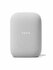 Google Nest Audio_