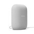 Google Nest Audio_