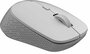 Rapoo M300 Silent muis Ambidextrous RF draadloos + Bluetooth Optisch 1600 DPI_