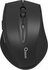 QWARE Wireless Mouse Bolton Zwart_