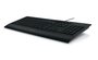Logitech K280e toetsenbord USB QWERTY US International Zwart_