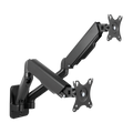 Wall Mount Dual LogiLink 17-inch-32-inch<9kg staal gasveer