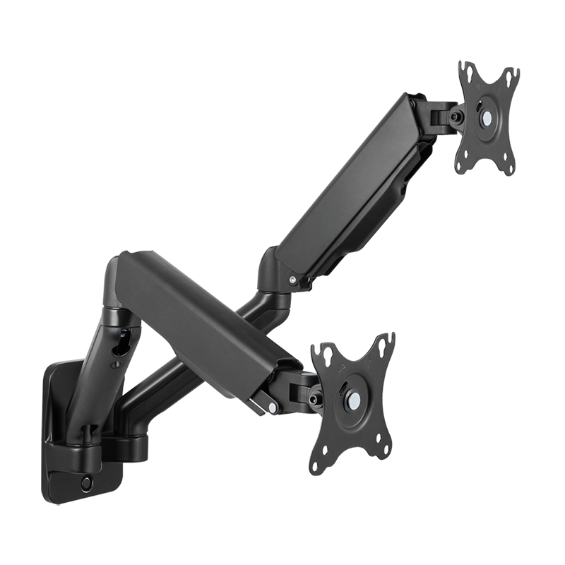 Wall Mount Dual LogiLink 17-inch-32-inch<9kg staal gasveer