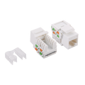 Keystone Jack UTP Cat5e LogiLink