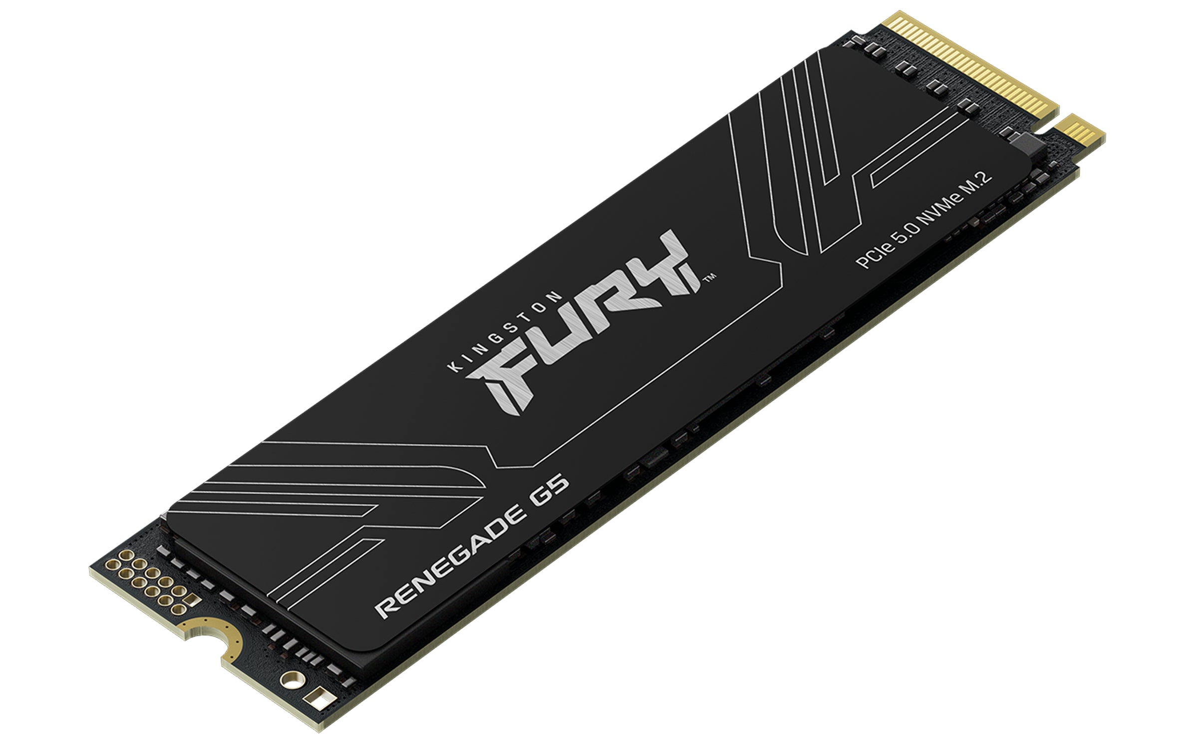 1TB M.2 PCIe NVMe Kingston FURY Renegade G5 14200-11000