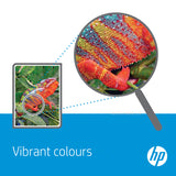 HP No.302 2-Pack 170-150 pagina's (Origineel)
